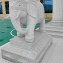遵义 白麻花岗岩动物异形石雕-大象