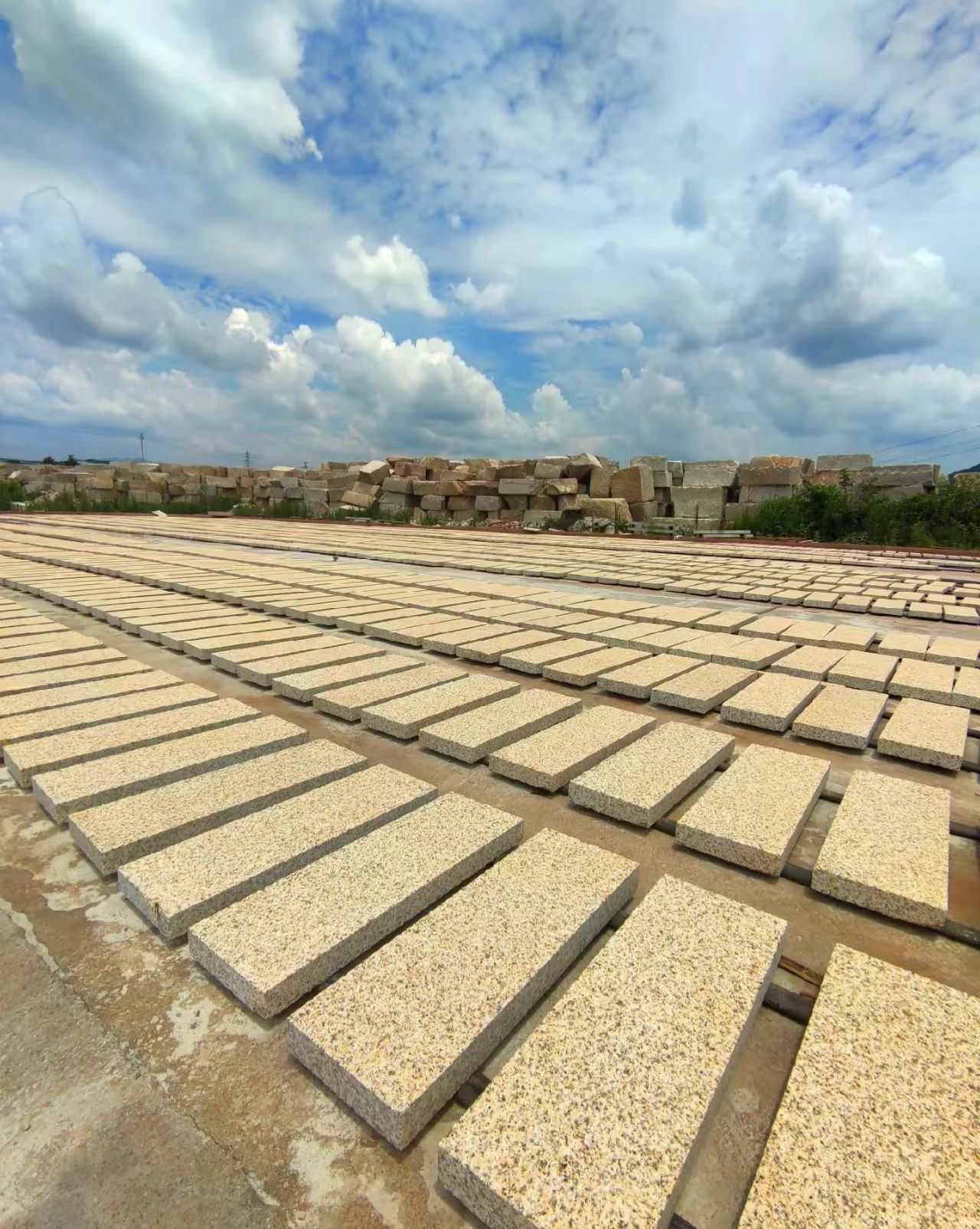 遵义 黄金麻花岗岩荔枝面地铺石防护中