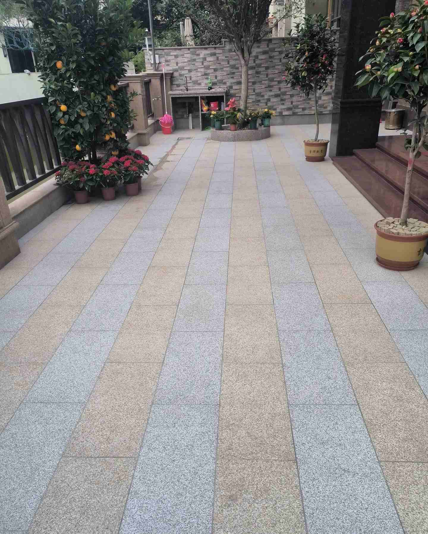 遵义 黄金麻白麻荔枝面庭院铺装展示